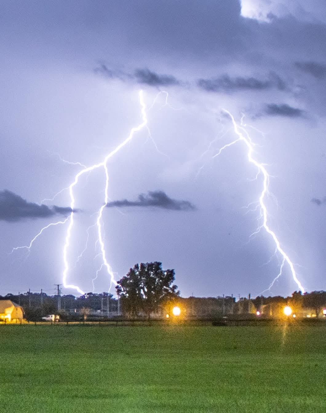 Two cloud-to-ground lightning strikes landing behind a treeline at dusk.